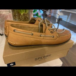 Brand New in Box Sperry size 13